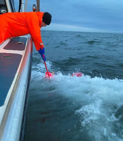 A fisherman in North Lake, P.E.I., leans over to snag a buoy to bring up a line of lobster traps in May 2021. (Jada Yeo - image credit)