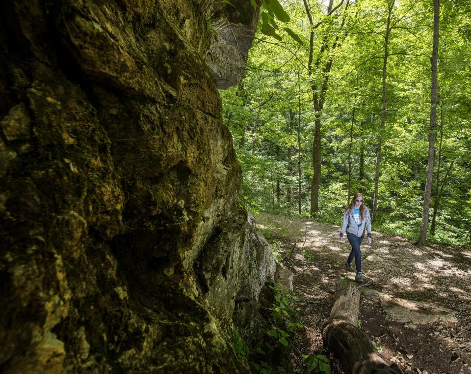 Courier Journal columnist Maggie Menderski hiked up the trail on a recent outing to Tioga Falls in Radcliff, Ky.