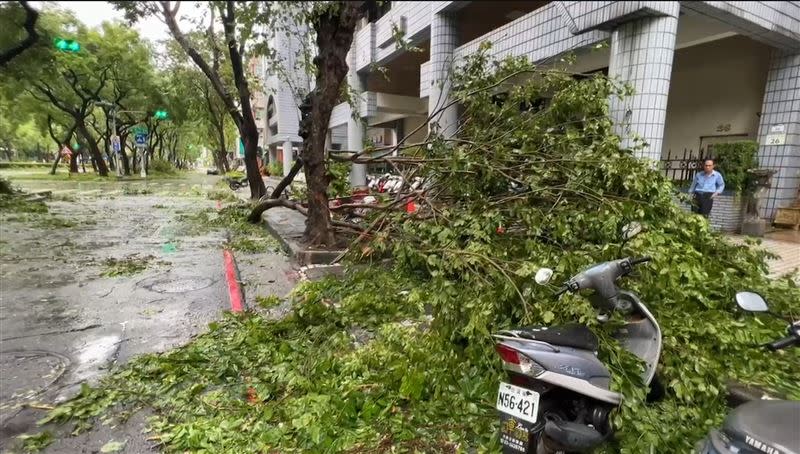 海葵颱風重襲高雄地區。（圖／翻攝畫面）