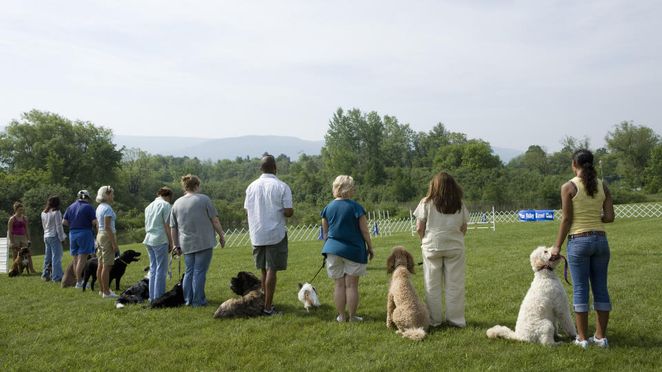 dog obedience class