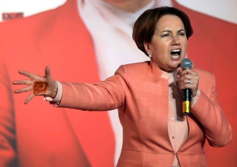 The top dissident member leading the 'No' wing of the the nationalists is former MHP leadership candidate, Meral Aksener, who rejects giving Erdogan more power