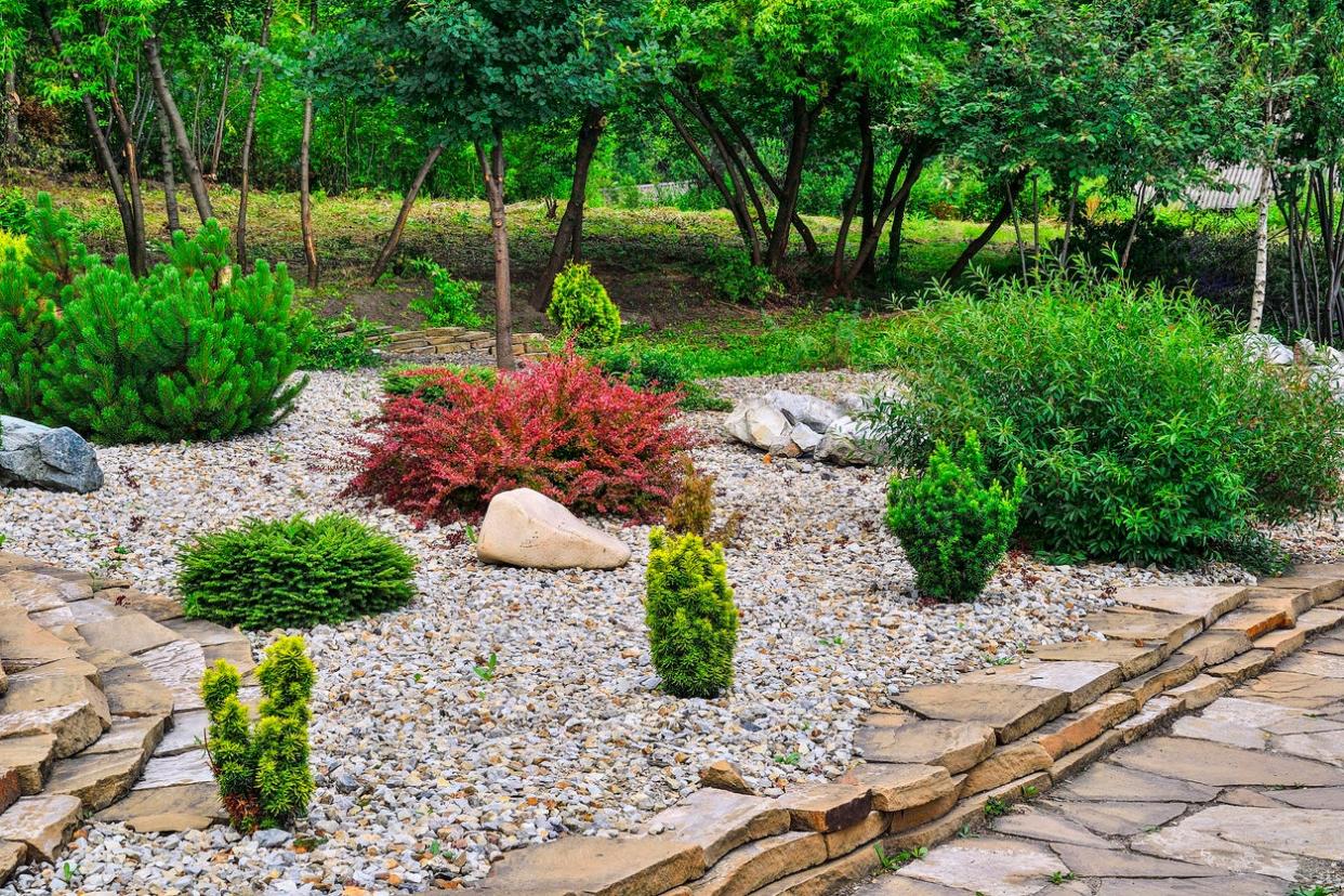 Garden Landscape With Gravel, Limestone, and Green Shrubs.