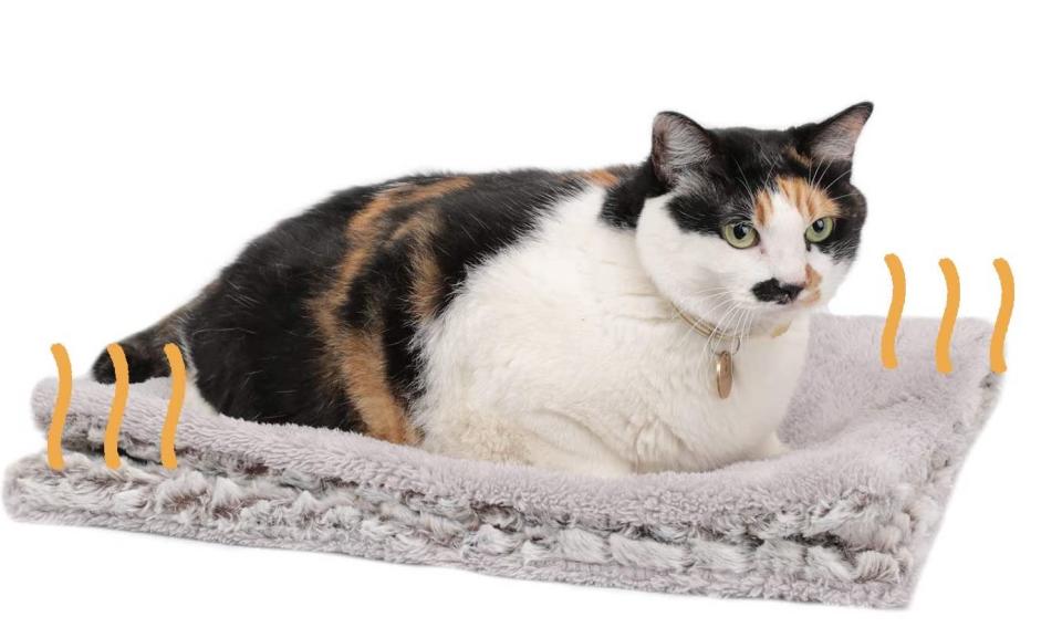 Heated mat for cats and dogs 