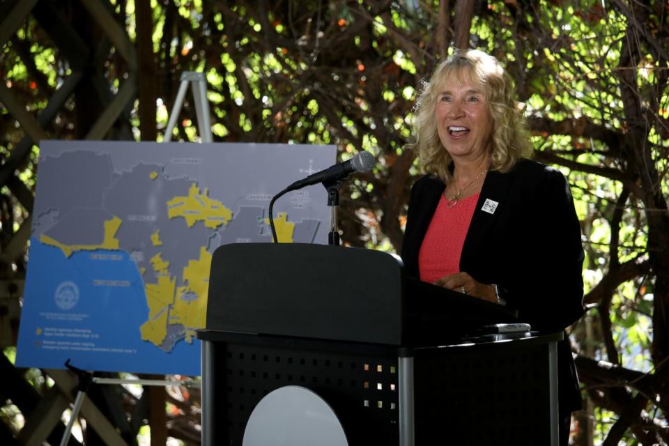 BURBANK, CA - AUGUST 30: Dawn Roth Lindell, General Manager of Burbank Water and Power, held a press conference