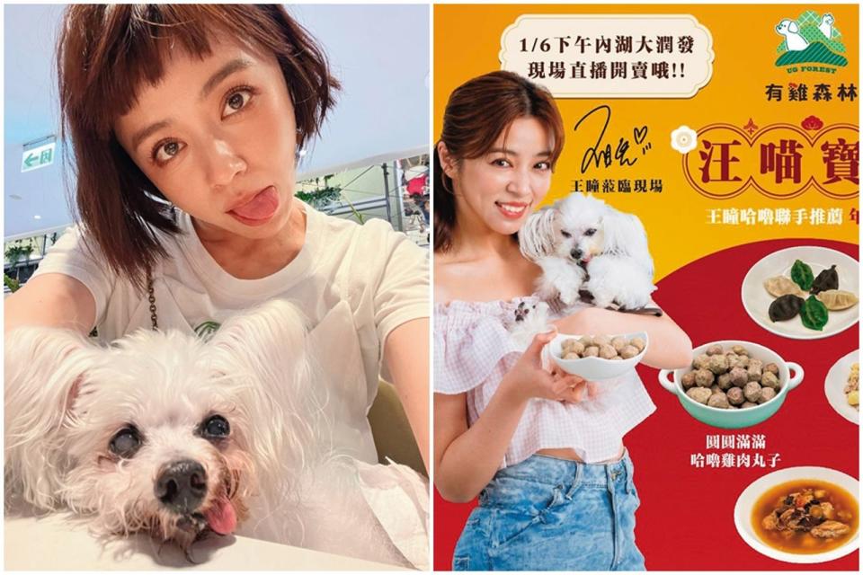 艾成的艾叻沙品牌推毛孩年菜，王瞳帶愛犬哈嚕代言。（翻攝自王瞳IG）
