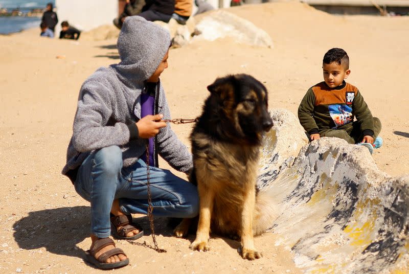 Gaza teenager struggles to look after his dogs in at a displacement camp in Rafah