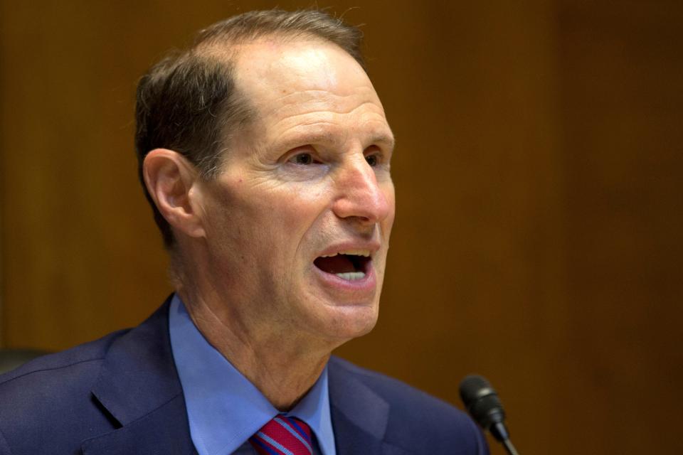 U.S. Sen. Ron Wyden, D-Oregon, speaks on Capitol Hill in Washington in this 2013 file photo.