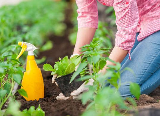 10. Lassen Sie den Garten wachsen