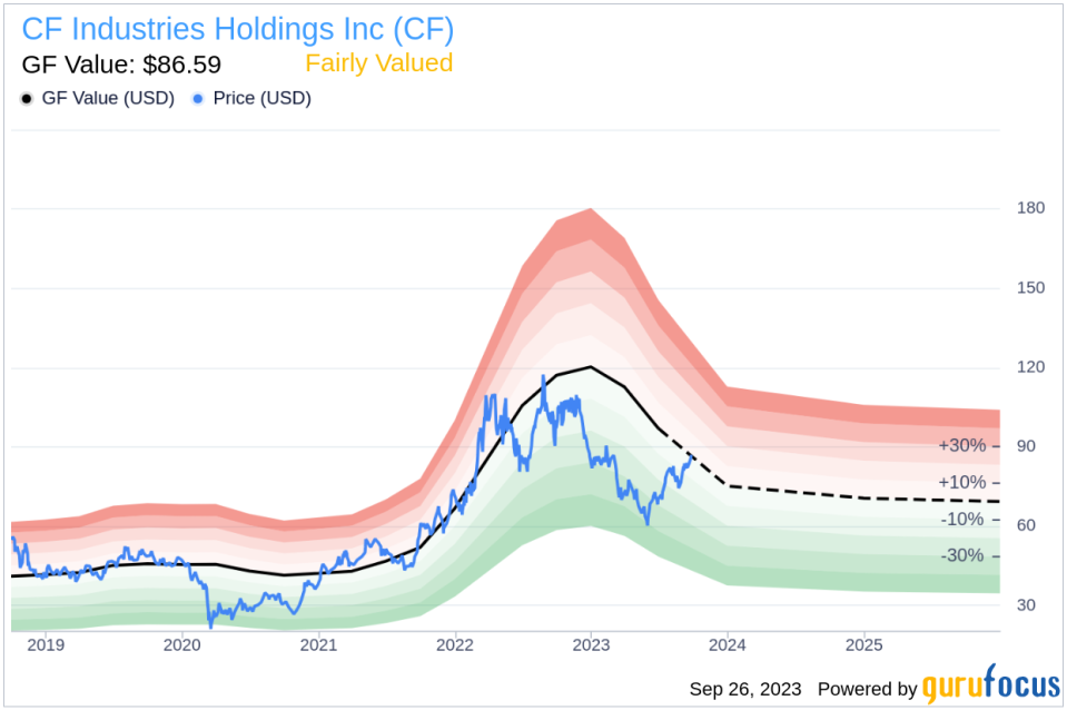 CF Industries Holdings (CF): A Comprehensive Analysis of Its Market Value