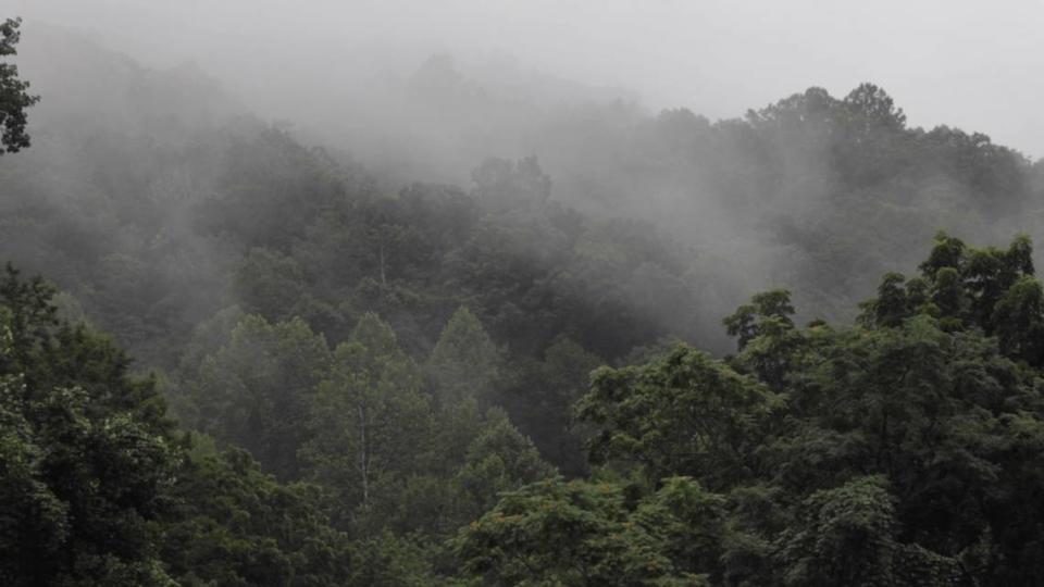 After a night of rain, mist rising from the smoking mountains is seen in Cherokee, NC., on Thursday, August 3, 2023.