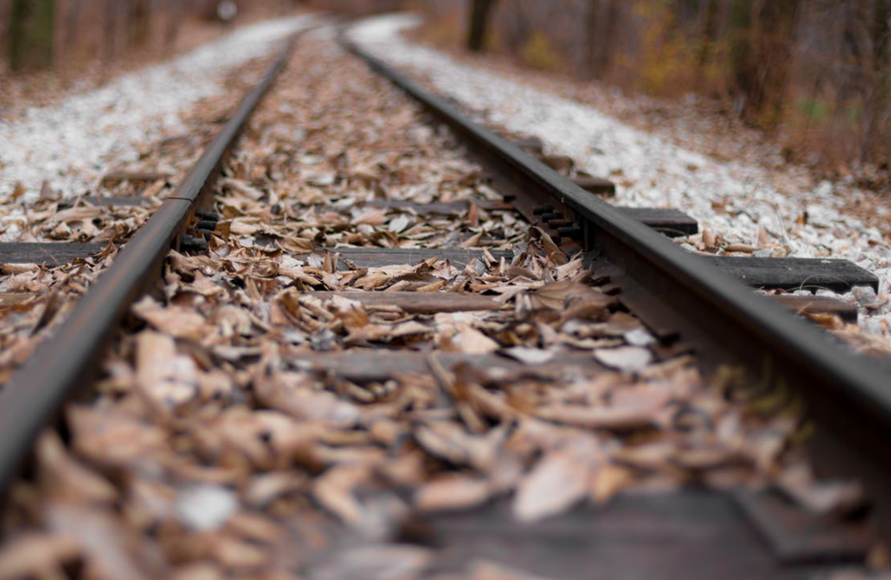 <em>The problem of leaves on train tracks has got worse for commuters (Pexels)</em>