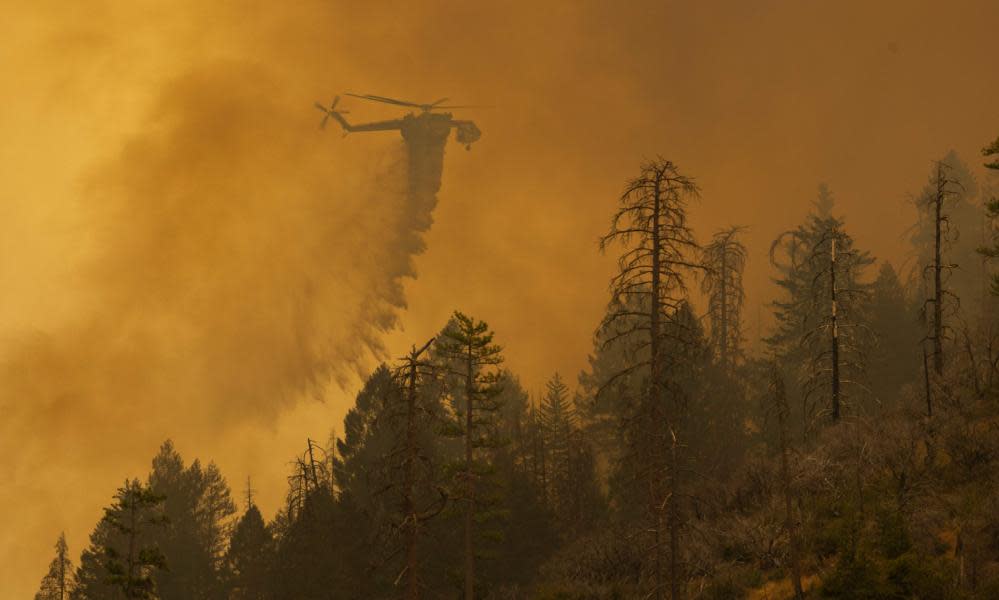 <span>Photograph: David McNew/AFP/Getty Images</span>