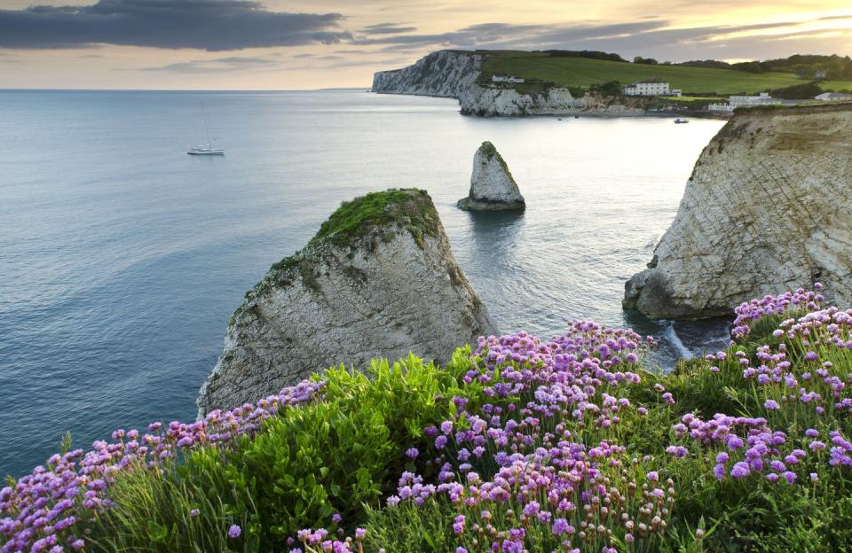 <p>The Isle of Wight has been crowned the most beautiful British island, with thousands of Instagram uploads each year. While there might not be many people travelling there at the moment, it is famous for its mild climate, coastal scenery and verdant landscape of fields. </p>