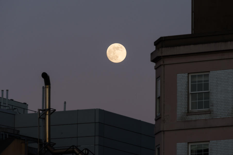 Stargazers in central London were treated to the bright moon as it rose over the capital.