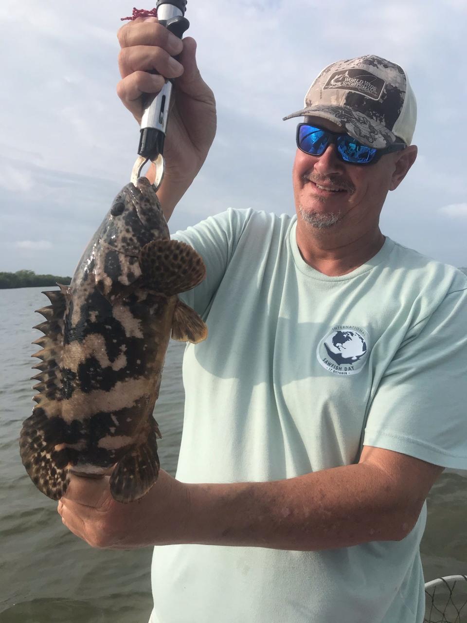 TCPalm outdoors columnist Ed Killer caught and released this juvenile Goliath grouper April 21, 2021 while fishing near mangroves in the Indian River Lagoon with Capt. Mark Dravo of Y-B Normal charters in Fort Pierce.