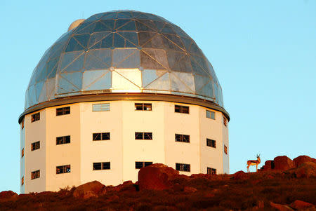 A lone Springbok stands beside the building housing the Southern African large telescope (SALT), near the small town of Sutherland in South Africa's arid Karoo region, February 19, 2004. REUTERS/Mike Hutchings