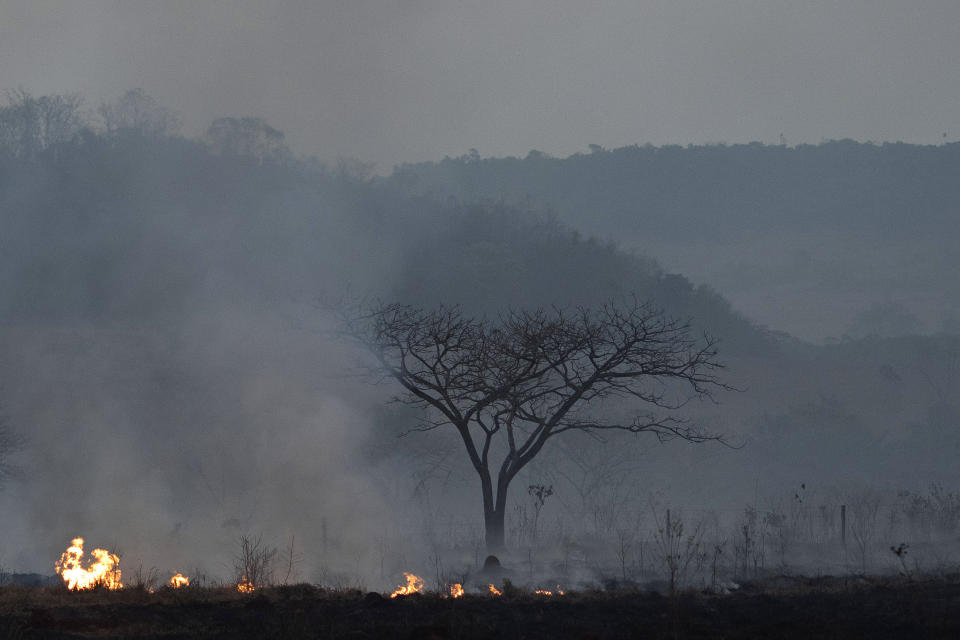 Fire consumes a field alongside the BR 163 highway in Nova Santa Helena municipality, Mato Grosso State, Brazil, Friday, Aug. 23, 2019. Under increasing international pressure to contain fires sweeping parts of the Amazon, Brazilian President Jair Bolsonaro on Friday authorized use of the military to battle the massive blazes. (AP Photo/Leo Correa)