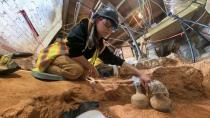 Archaeologist Tess Ostoyich carefully exposes two intact mid-18th century bottles in the Mansion cellar at George Washington’s Mount Vernon. (The Mount Vernon Ladies' Association)