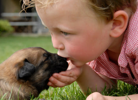 Can your family dog protect your baby's health?