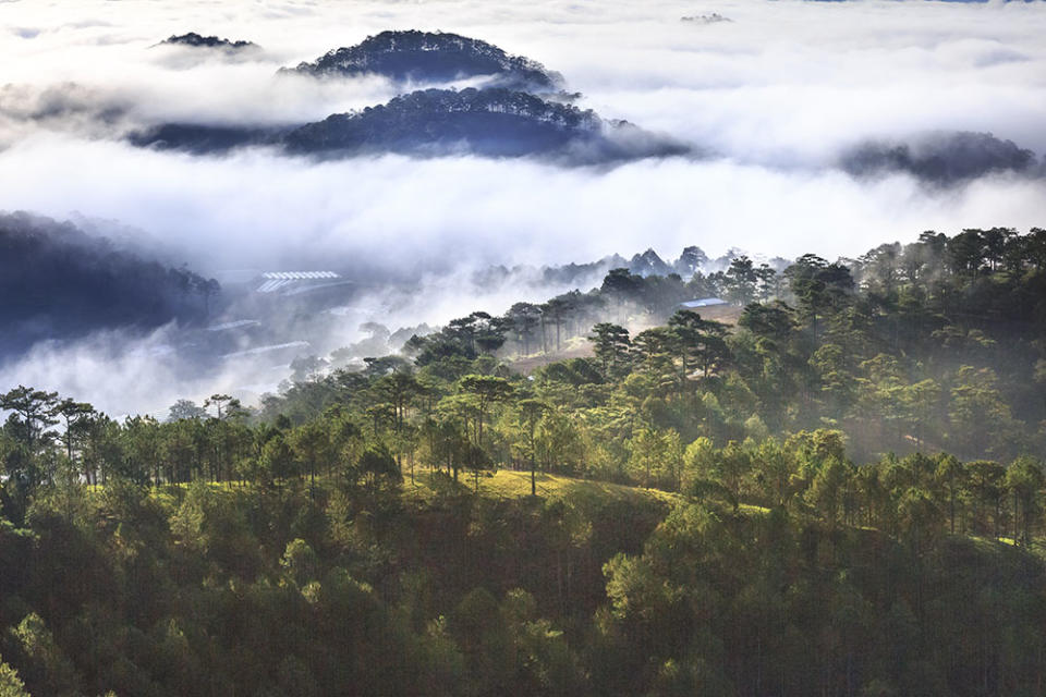 大勒（Image Source : Getty Creative/iStockphoto）