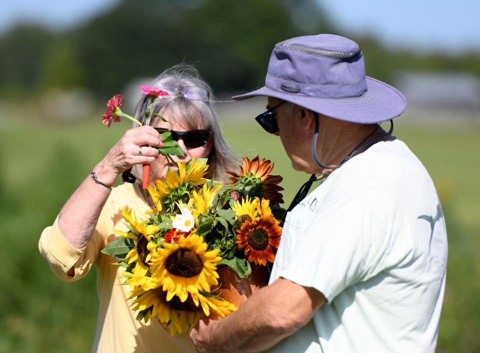 Susie and Rodney Green visit the recent Sunflower Festival at Maize Valley Winery & Craft Brewery in Marlboro Township before their trip back home to Florida after a summer in Ohio.