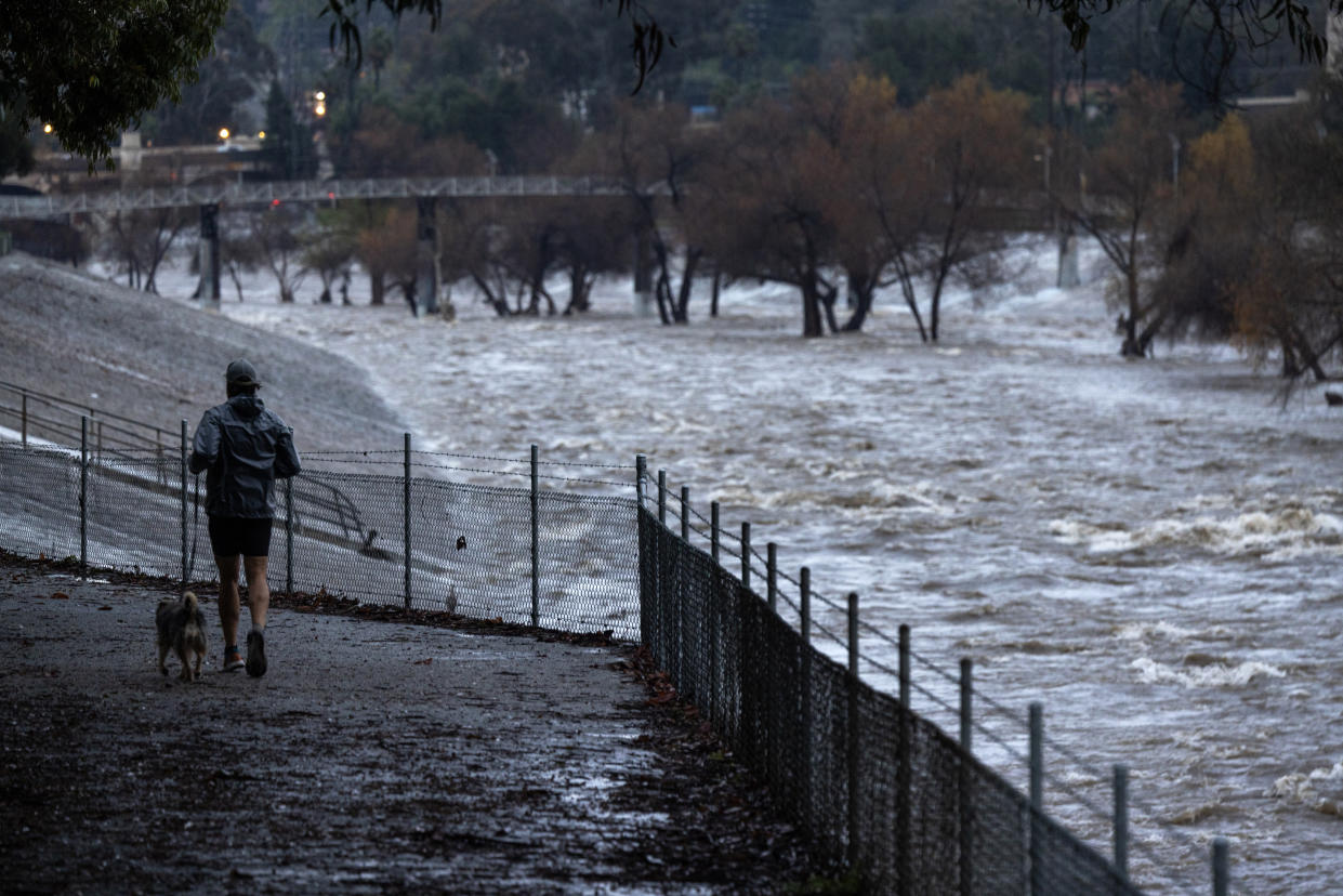 A man jogs with a dog near the rain swollen Los Angeles River as a historic atmospheric river storm inundates Los Angeles, California, on February 6, 2024. A powerful storm lashing California has left at least three people dead and caused devastating mudslides and flooding, after dumping months' worth of rain in a single day. (Photo by DAVID MCNEW / AFP) (Photo by DAVID MCNEW/AFP via Getty Images)