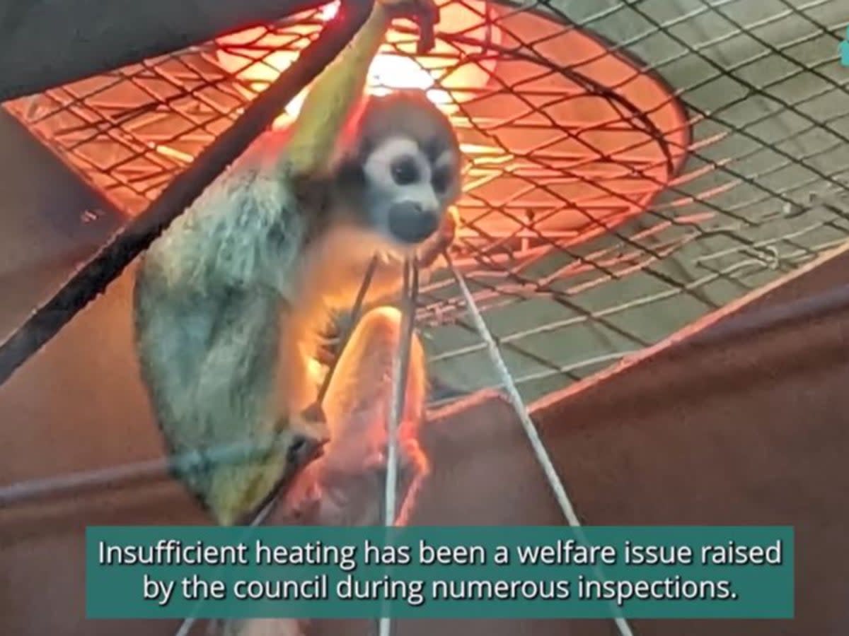 Animals said to suffer from the cold climbed close to heat lamps (Freedom for Animals)