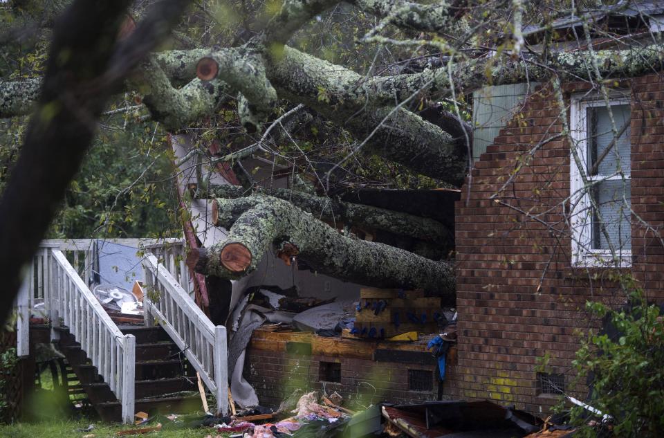 The woman and her young baby were crushed by the falling tree. Source: AFP via Getty