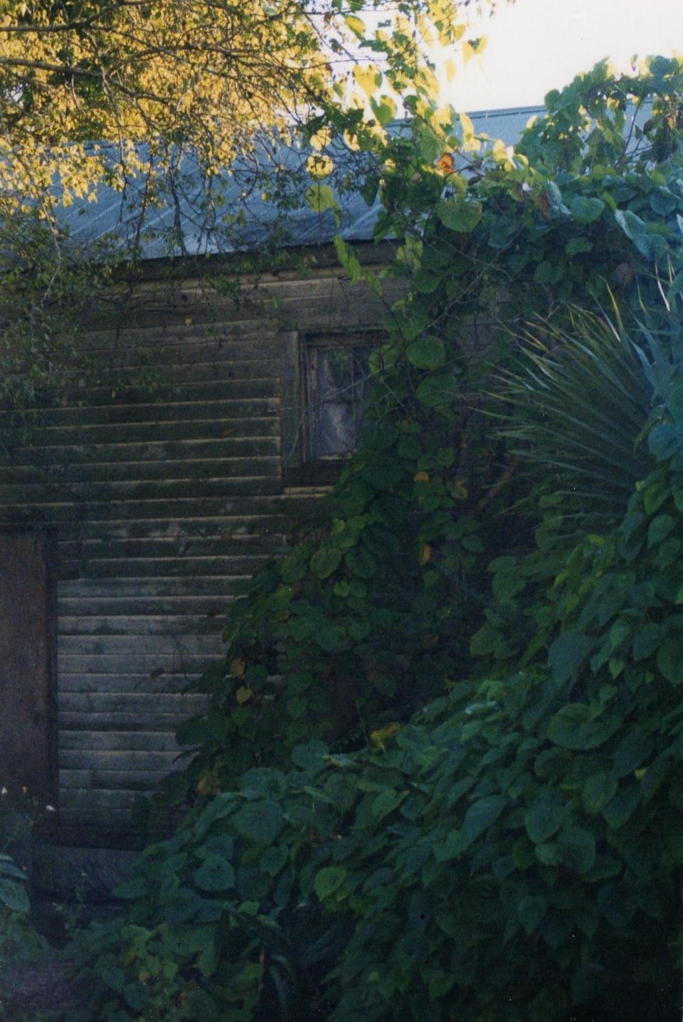 After the Civil War, (during which the port was occupied by Union troops), in the late 1880s, Greek immigrants brought the sponge trade to Apalachicola.