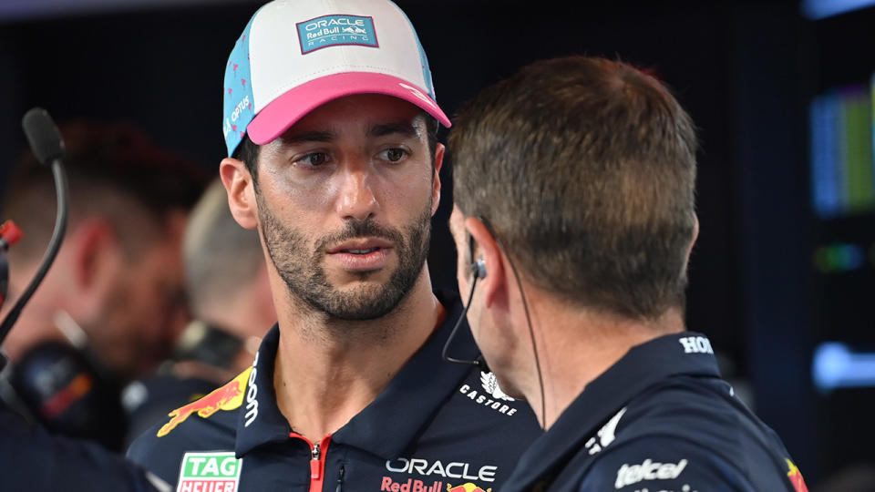 Daniel Ricciardo speaks to a Red Bull engineer.