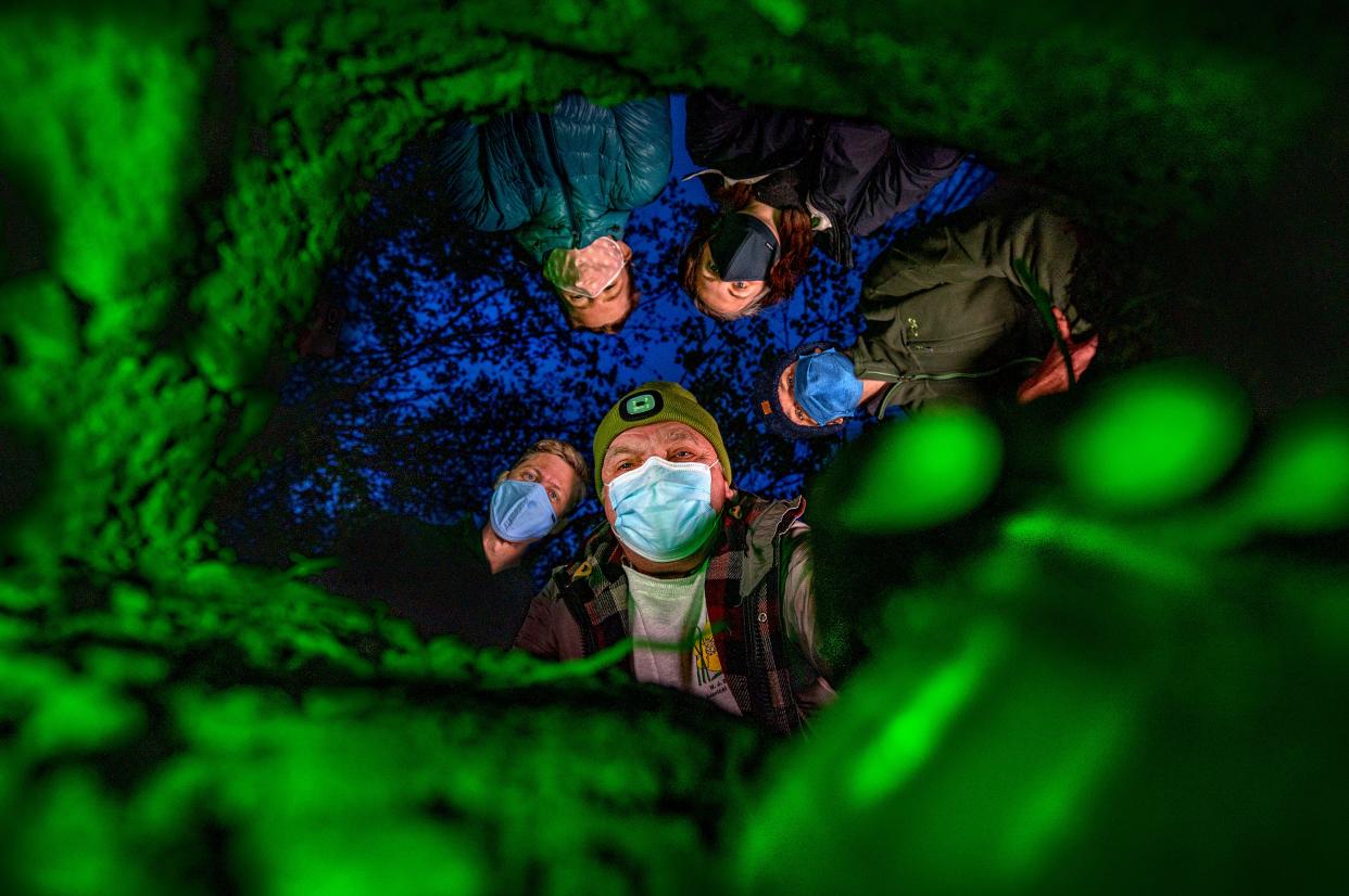 MSU plant researchers looking in a hole for the bottle containing seeds buried by William J. Beal in 1879.