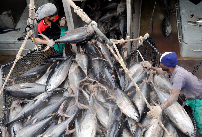 FILE PHOTO: Talks start to protect Indian Ocean's depleting tuna