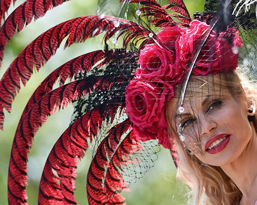 From the looks of things, several people were assaulted by crazed peacocks on their way to the track.