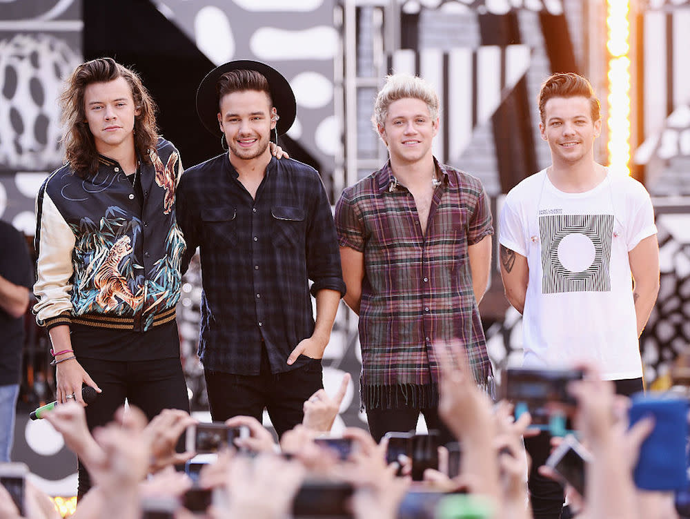 Niall Horan is teasing a One Direction reunion and we are FREAKING OUT