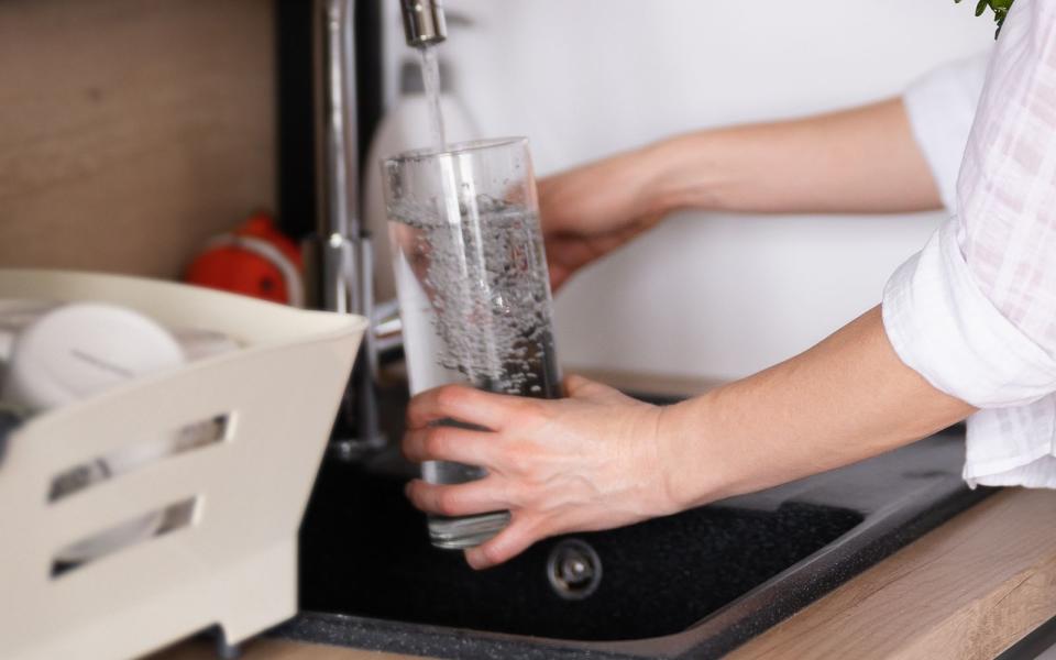 Lösen Sie eine Gebissreinigungstablette in der Vase in warmem Wasser auf und lassen Sie das Gemisch wirken. Alle Schmutzränder sollten für eine oder bei Bedarf auch mehrere Stunden damit bedeckt sein. (Bild: iStock/ArthurHidden)