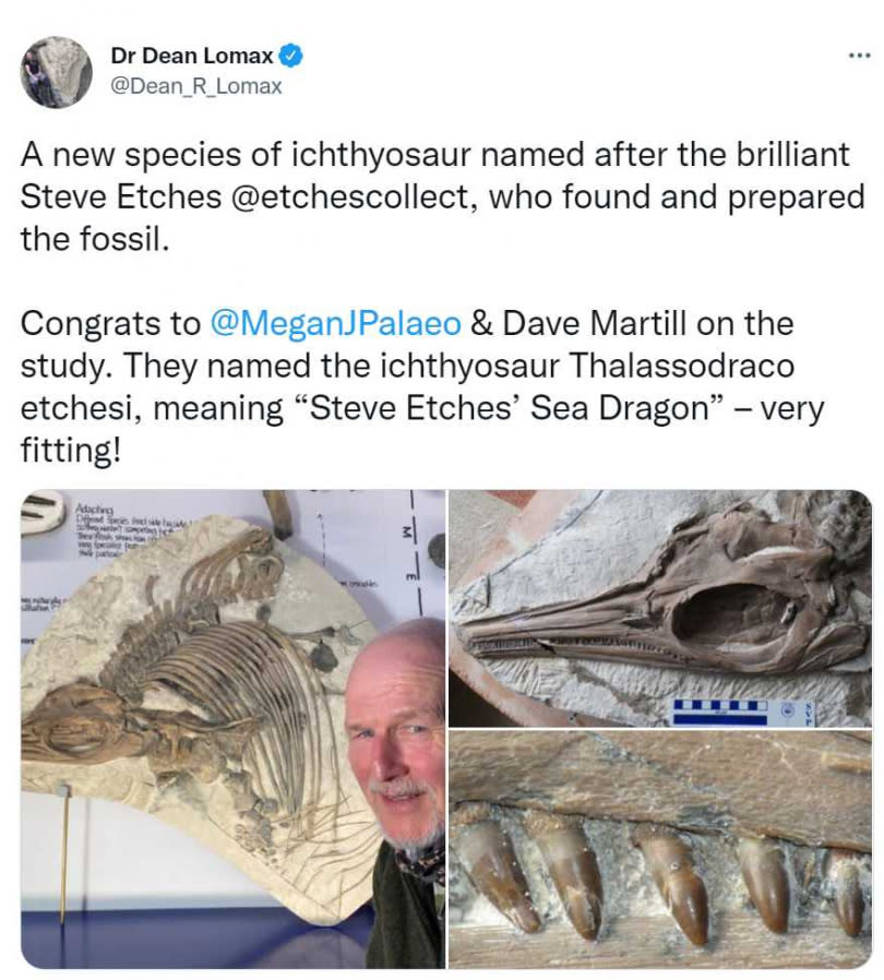 化石收藏家發現一塊標本化石，進一步研究驚覺，石板上的是新品種魚龍。（圖／翻攝自@Dean_R_Lomax推特）