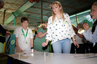 Pendant une séance du Friendly Spider Programme , au zoo de Londres, à la fin de mai 2023. . Photo Anna Gordon/REUTERS