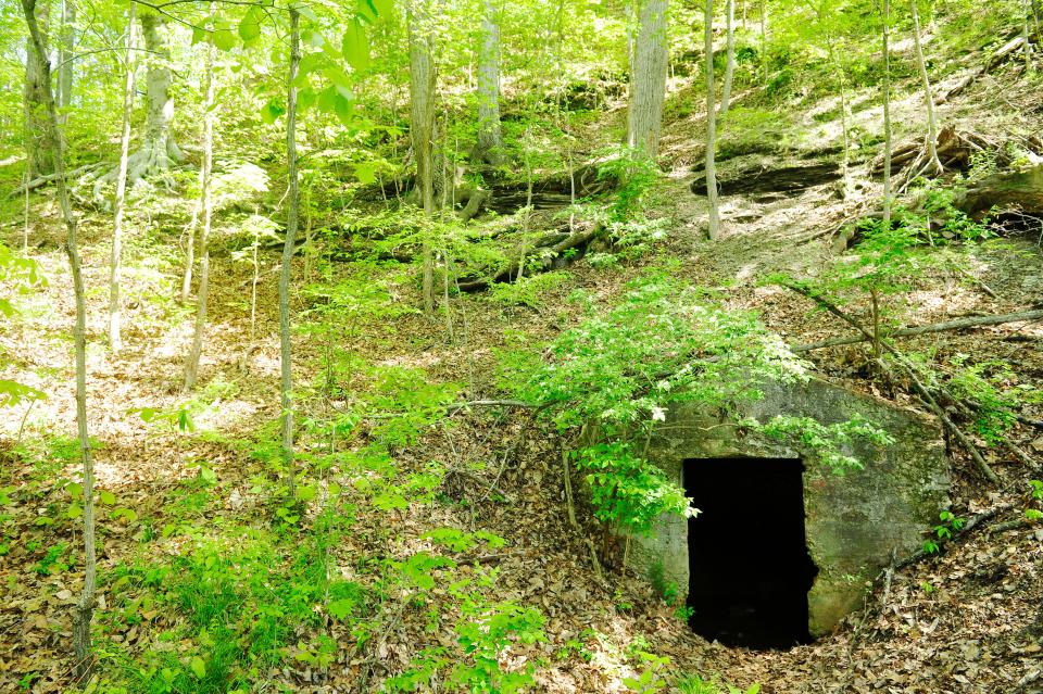 The Belle Forest Cave and four surrounding acres were bought and preserved by the Tennessee Parks and Greenways Foundation as part of a broad effort to create an ecological corridor in West Nashville from Radnor Lake to the Cumberland River.