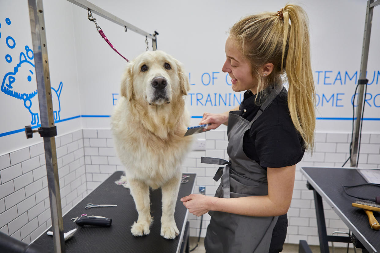Pets at Home saw a surge in grooming sales after being forced to close during the pandemic (Pets at Home/PA)