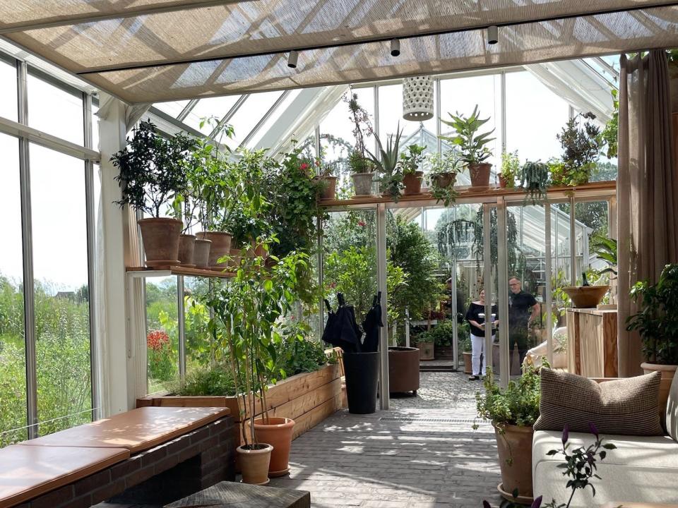 Inside the Noma greenhouse.