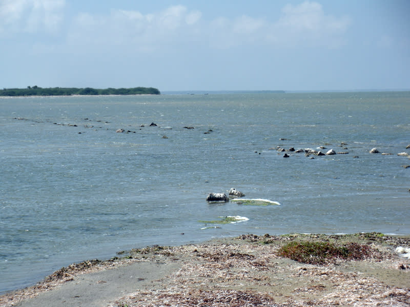 Dhanushkodi (Índia): Cidade-fantasma com uma história tétrica, pra combinar: em 1964, um ciclone destruiu a cidade, além de afundar a estação de trem, a linha (foto) e um trem com 100 passageiros (Nsmohan/Wikimedia Commons)