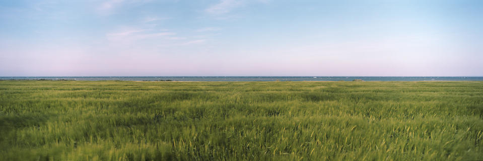 Wheat sways in the wind in a field above a stretch of beach that was known as 'Sword' during the D-Day beach landings, on May 14, 2019 in Lion-sur-Mer, France. (Photo: Dan Kitwood/Getty Images)