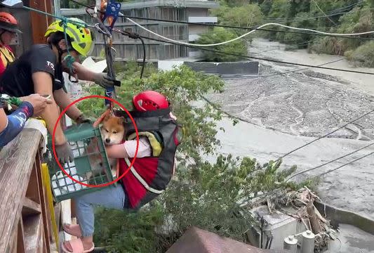 圖說二 緊急疏散脫困，民眾沒忘了帶上自家的「二狗仔」（紅圈處）。（記者孫義方攝）