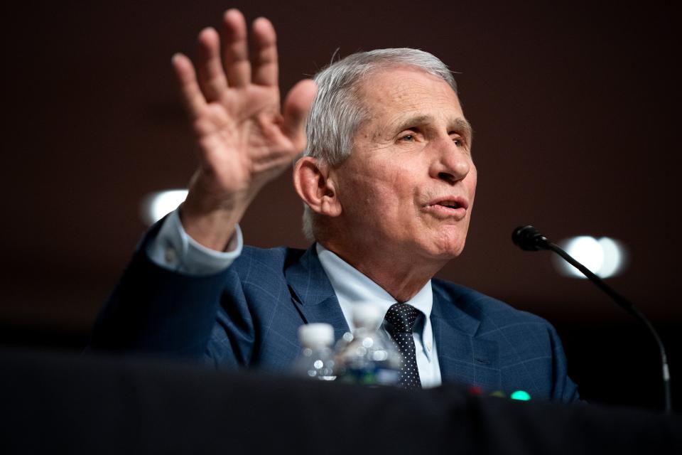 Dr Anthony Fauci, White House Chief Medical Advisor and Director of the NIAID, testifies at a Senate Health, Education, Labor, and Pensions Committee hearing on Capitol Hill on 11 January 2022 in Washington, DC (Getty Images)
