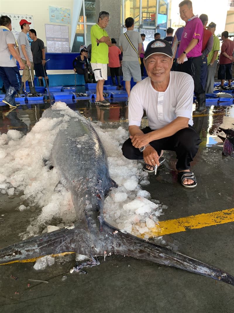 擁有50年鏢魚經驗的陳永福船長成功鏢到重量級旗魚，重達210公斤。(圖／記者王浩原攝影)