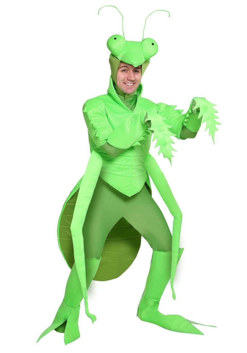 Dressing up as a <a href="https://www.halloweencostumes.com/adult-praying-mantis.html" target="_blank">praying mantis</a> is weird enough, but if you really want to bug people, tell them you're making a statement about how insects can be religious as well. If anyone gripes, just say, "Hey, at least I'm not the Pickle Apron guy."