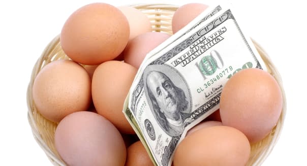 Eggs with dollars in basket isolated on white background. Financial concept.