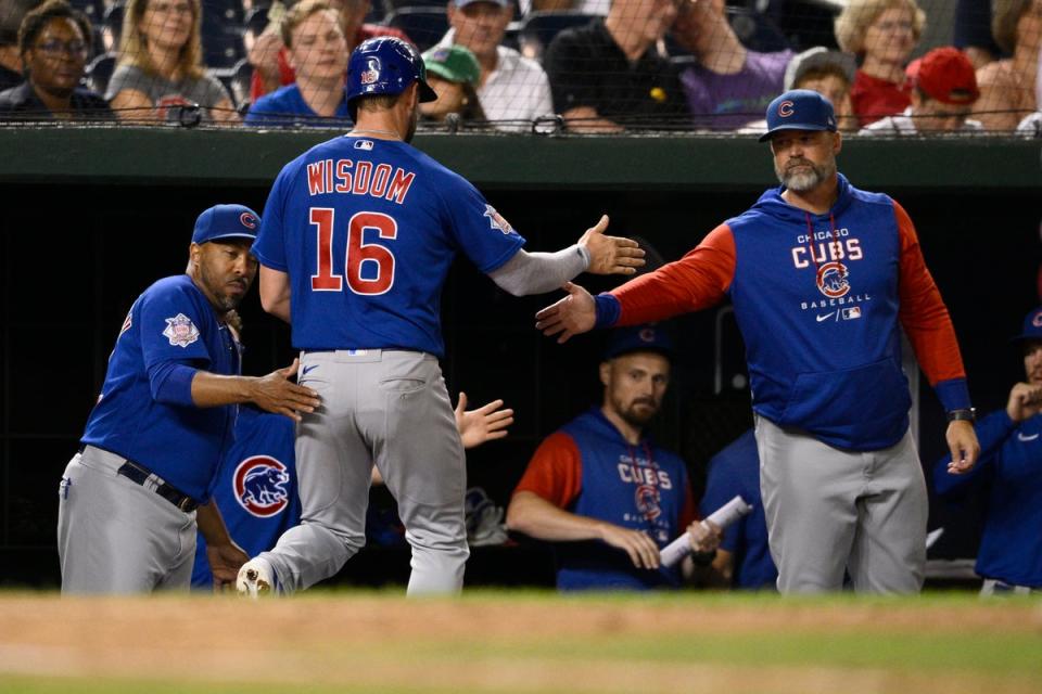 CACHORROS-NACIONALES (AP)