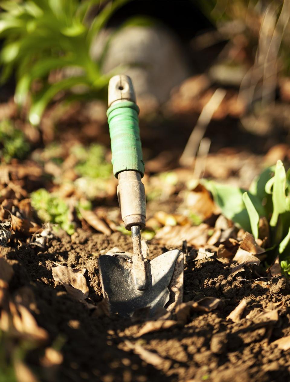 a small green and white object on the ground