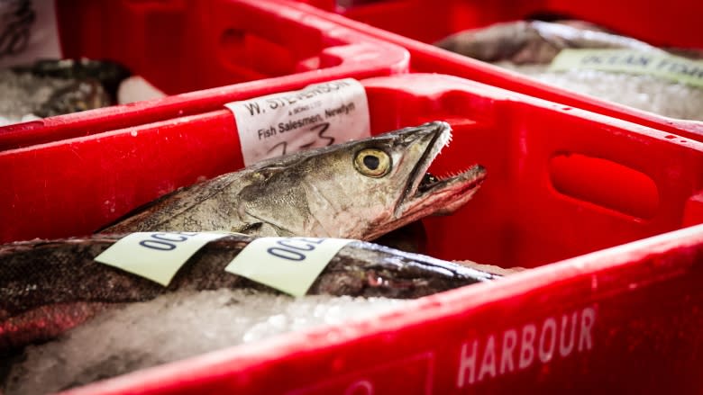 British fishermen tired of taking 'scraps' from Brussels are counting down the days to Brexit